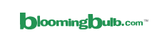 bloomingbulb Coupons