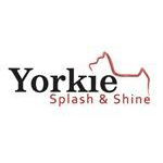Yorkie Splash And Shine Coupons